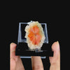 Sunflower Scolecite With Chalcedony Natural Minaral Specimen G #0630