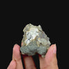 Pyrite With Calcite & Babingtonite Natural Mineral Specimen G #0609