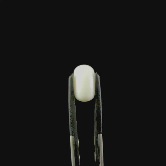 Natural Coral (Munga) Cut Stone. G #0514