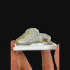 Aragonite With Calcite Strontium-Bearing (UV Reactive) Natural Minaral Specimen G #0474