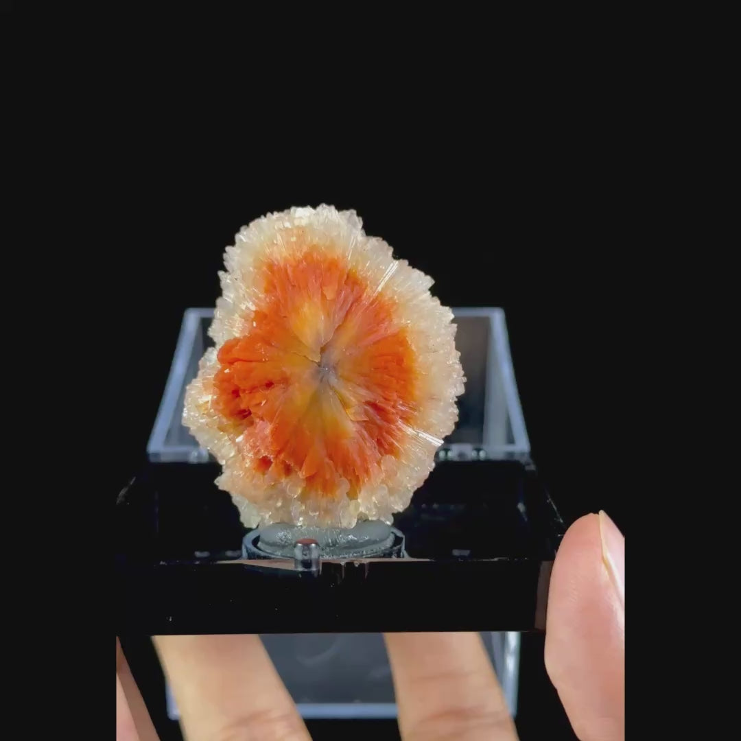 Sunflower Scolecite With Chalcedony Natural Minaral Specimen G #0505