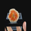 Sunflower Scolecite With Chalcedony Natural Minaral Specimen G #0505