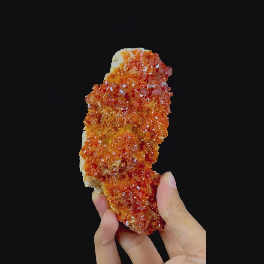 Dark Red Vanadinite Cluster Natural Mineral Specimen. G #0499