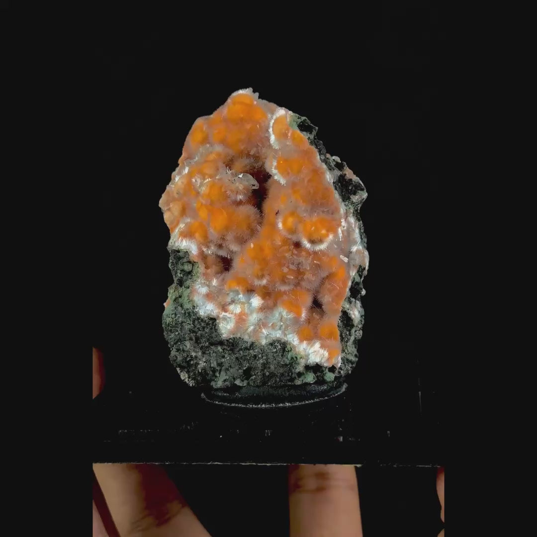 Thomsonite With Mesolite Natural Mineral Specimen. G #0547