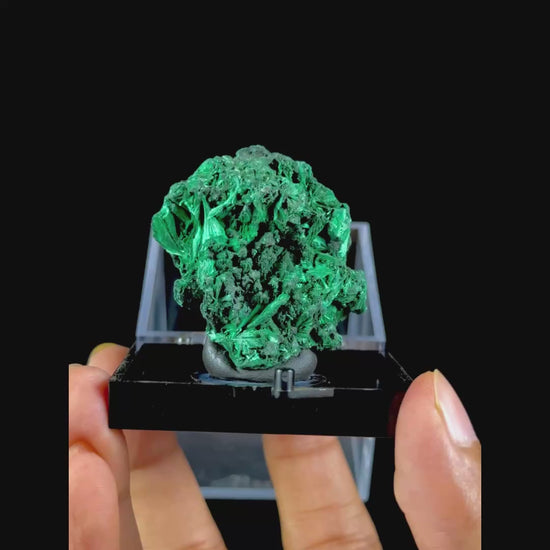 Malachite Cluster Natural Mineral Specimen. G #0507