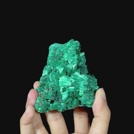 Velvet Malachite Natural Mineral Specimen. G #0581