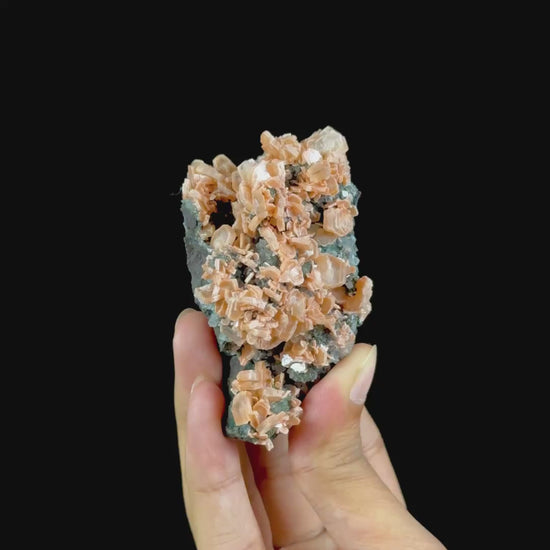 Clinoptilolite On Matrix Natural Mineral Specimen. G #0598