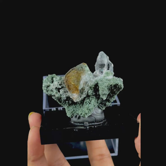 Golden Rutile Clear Quartz With Chlorite inclusion Natural Minaral Specimen G #0489